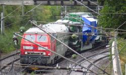 IMG_5585